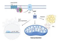 P10_Abb Wachten.JPG