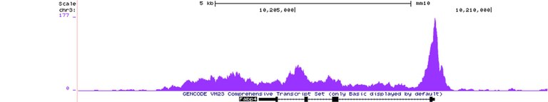 P12 GR binding at the Fabp4 locus.jpg